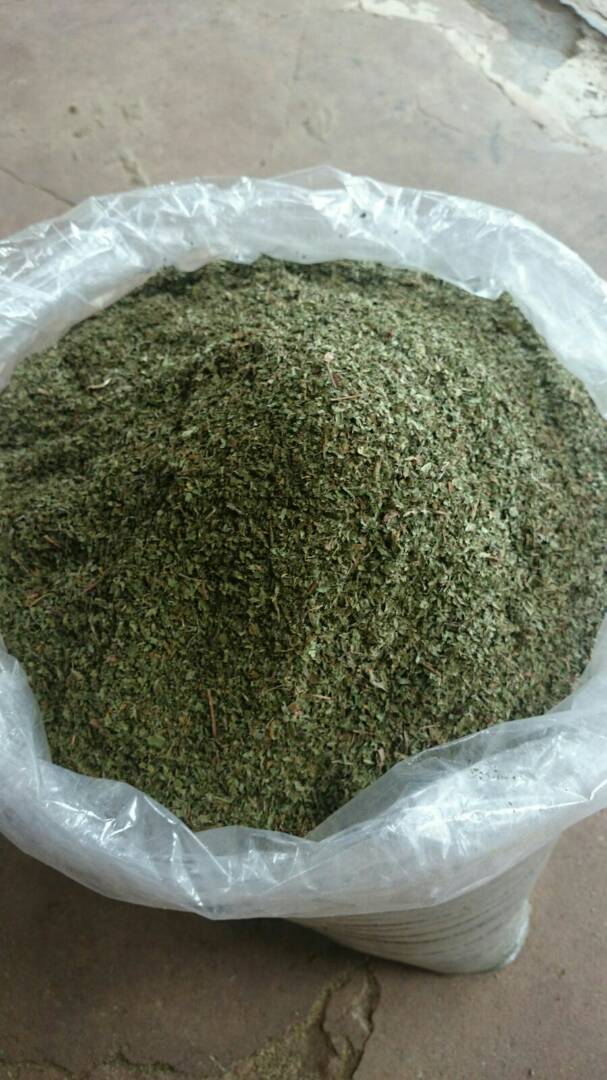 Dried Moringa Leaf