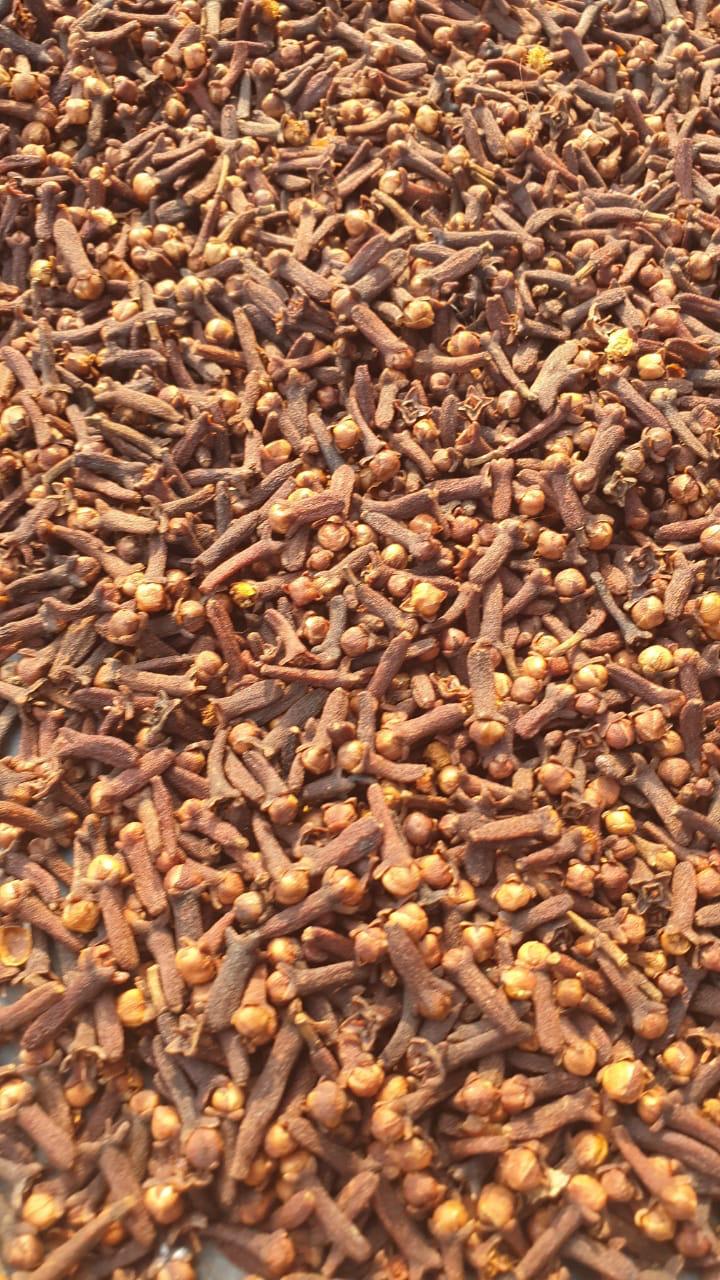 Clove