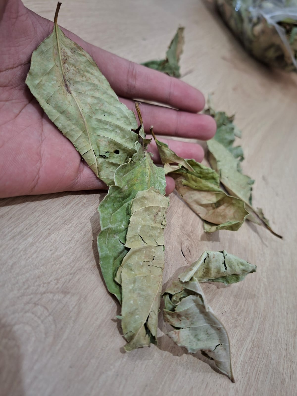 Dried Bay Leaves