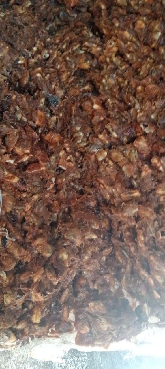 TAMARIND