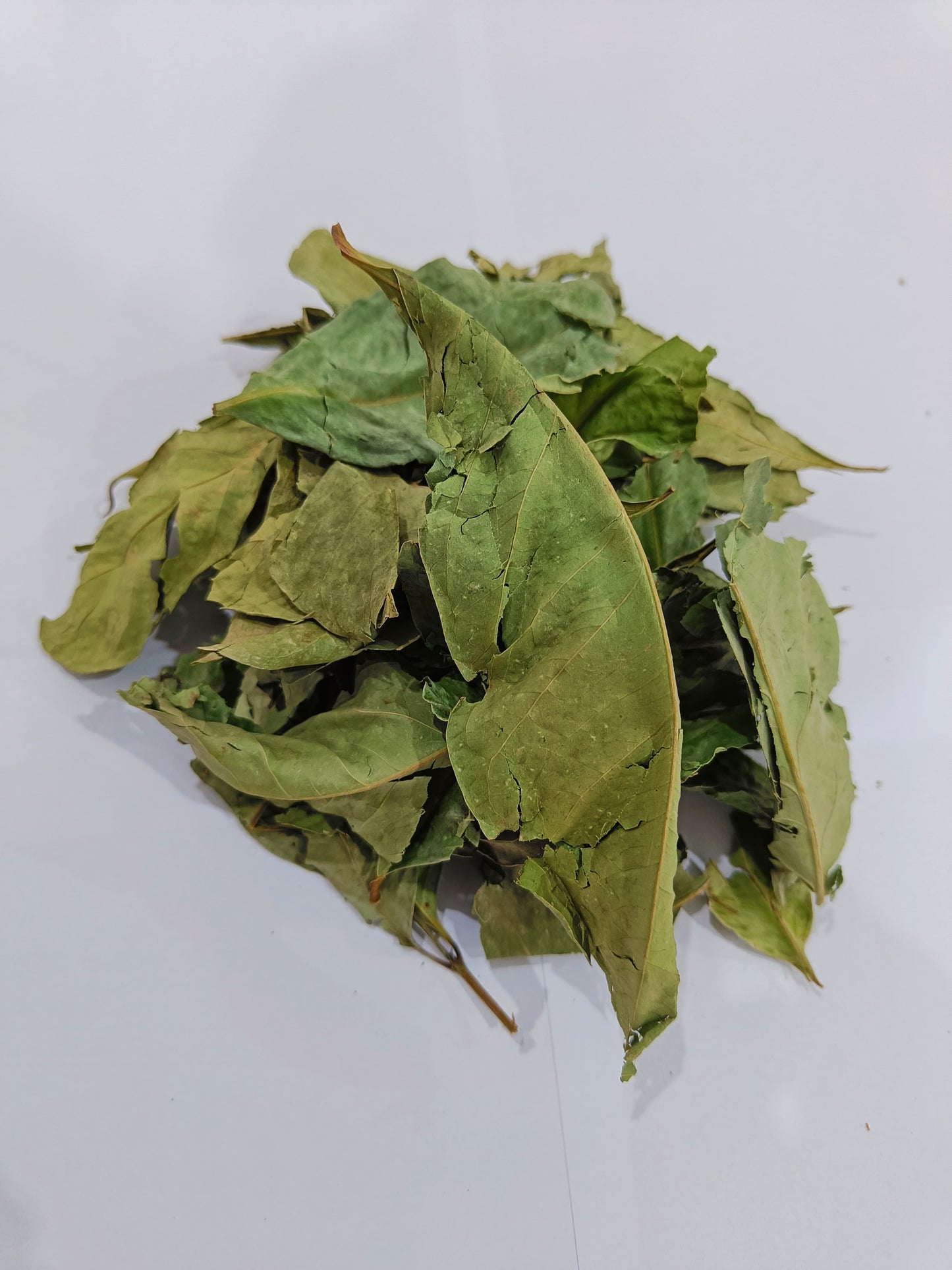 BAY LEAF