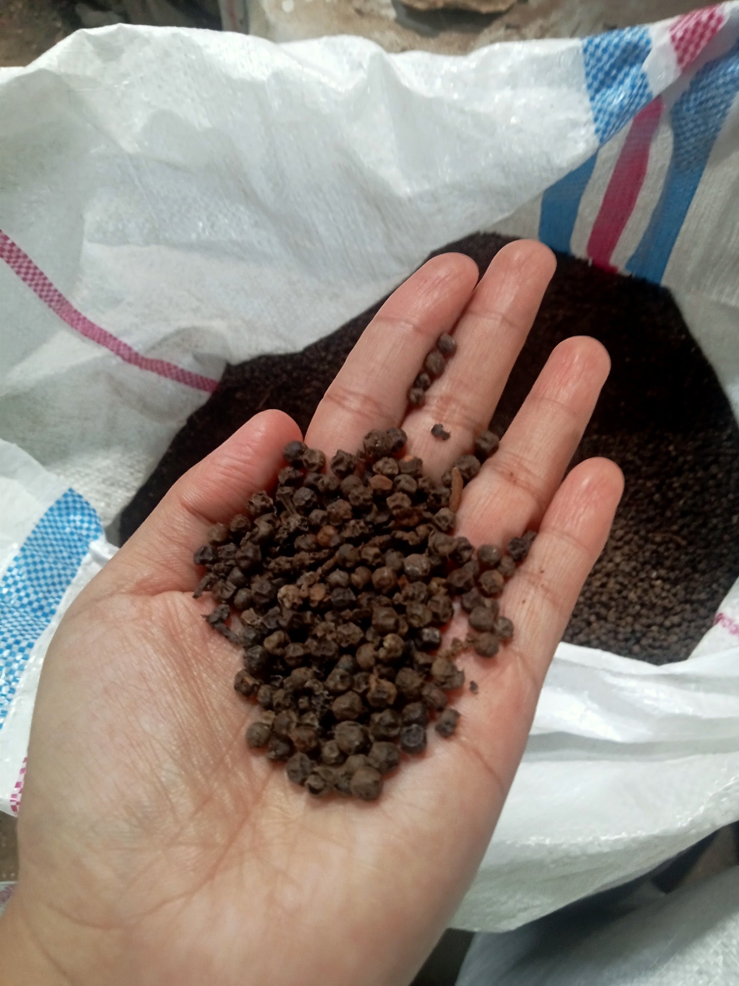 Blackpepper high quality