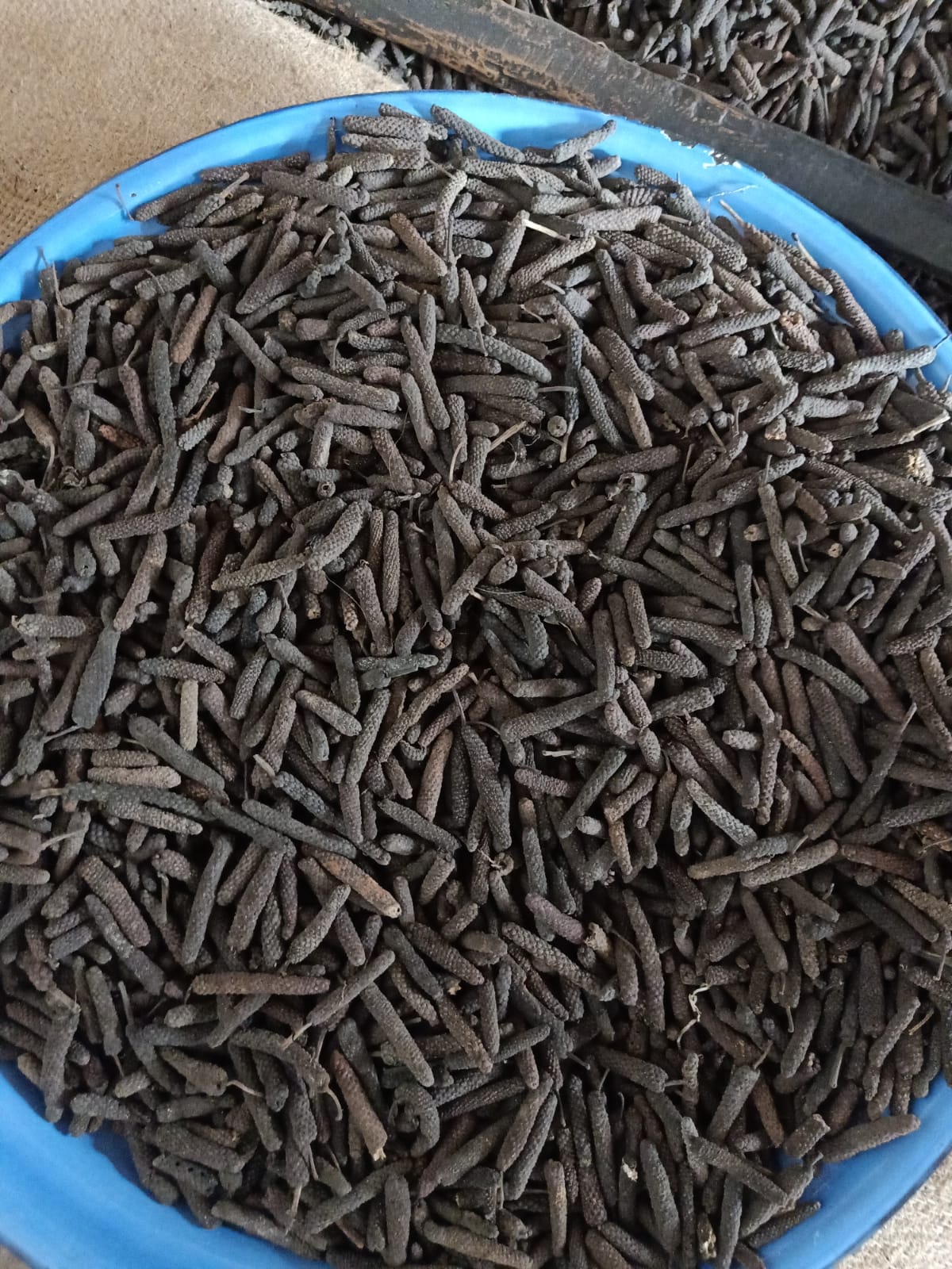 Long pepper