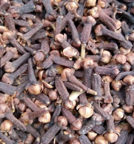 Clove