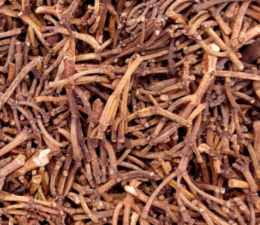 CLOVE STEM I GAGANG CENGKEH
