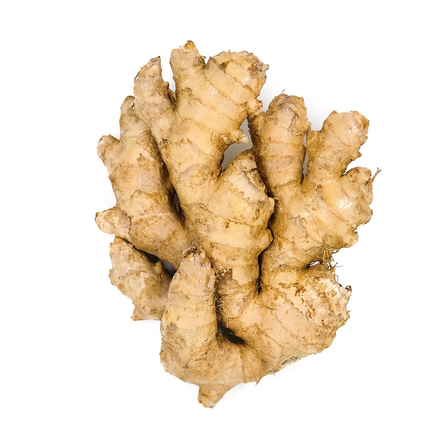 Dried ginger