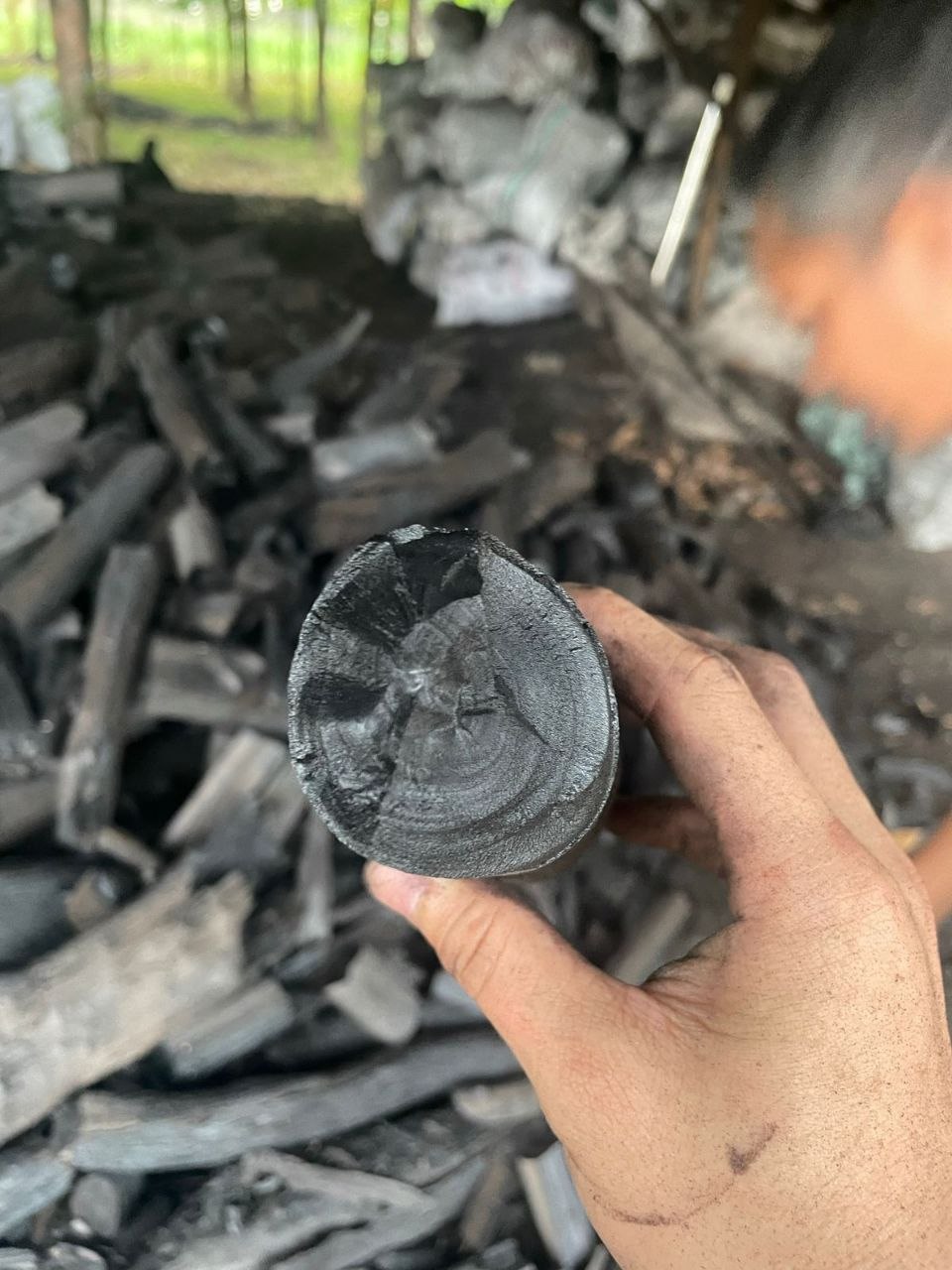 Halaban Charcoal