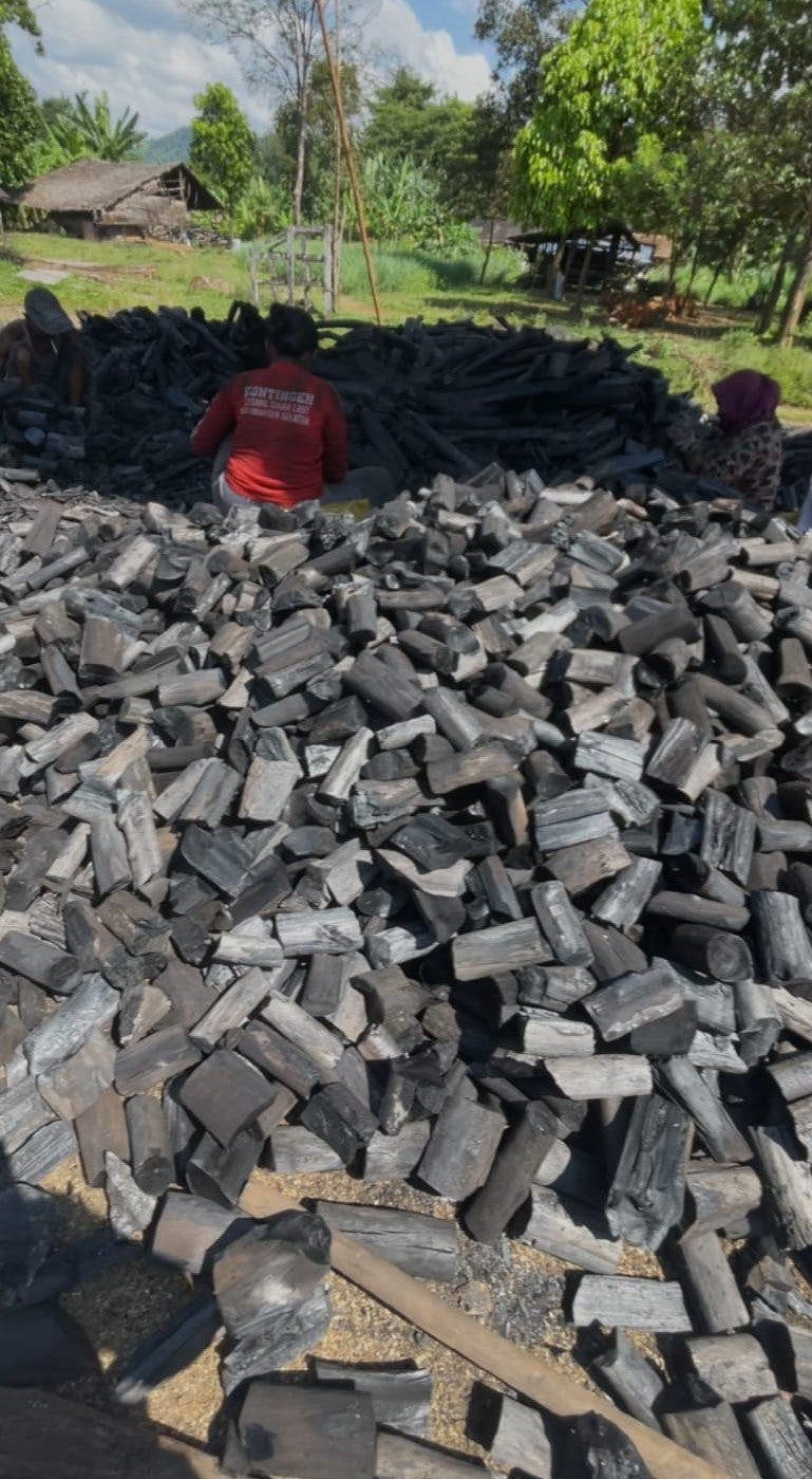Halaban Wood Charcoal