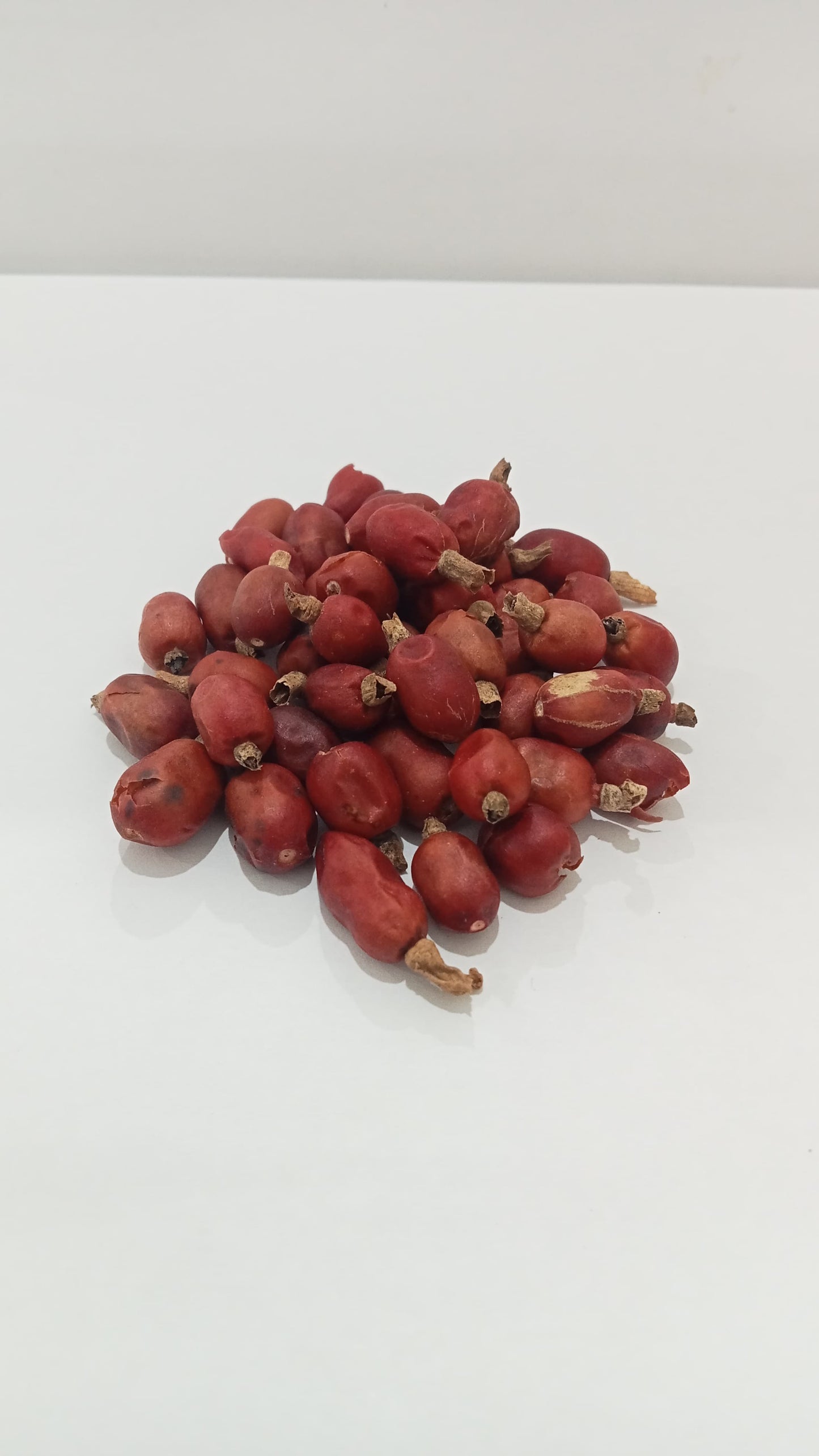 Forest Galangal Fruit / Biji Laos Hutan