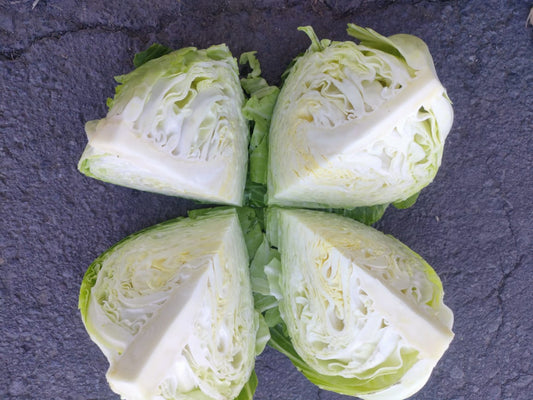 Cabbage