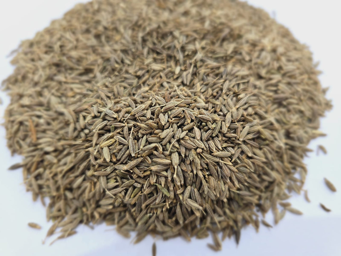 JINTEN PUTIH / WHITE CUMIN