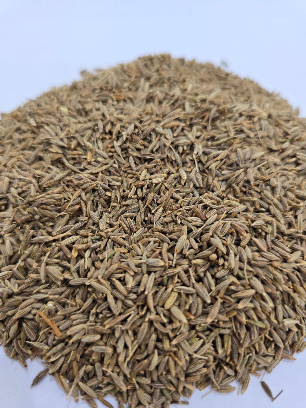 JINTEN PUTIH / WHITE CUMIN