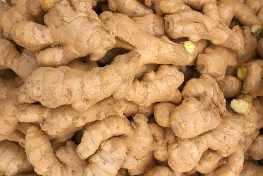 PREMIUM QUALITY FRESH GINGER