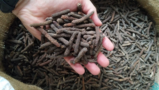 LONGPEPPER MADURA ORIGIN