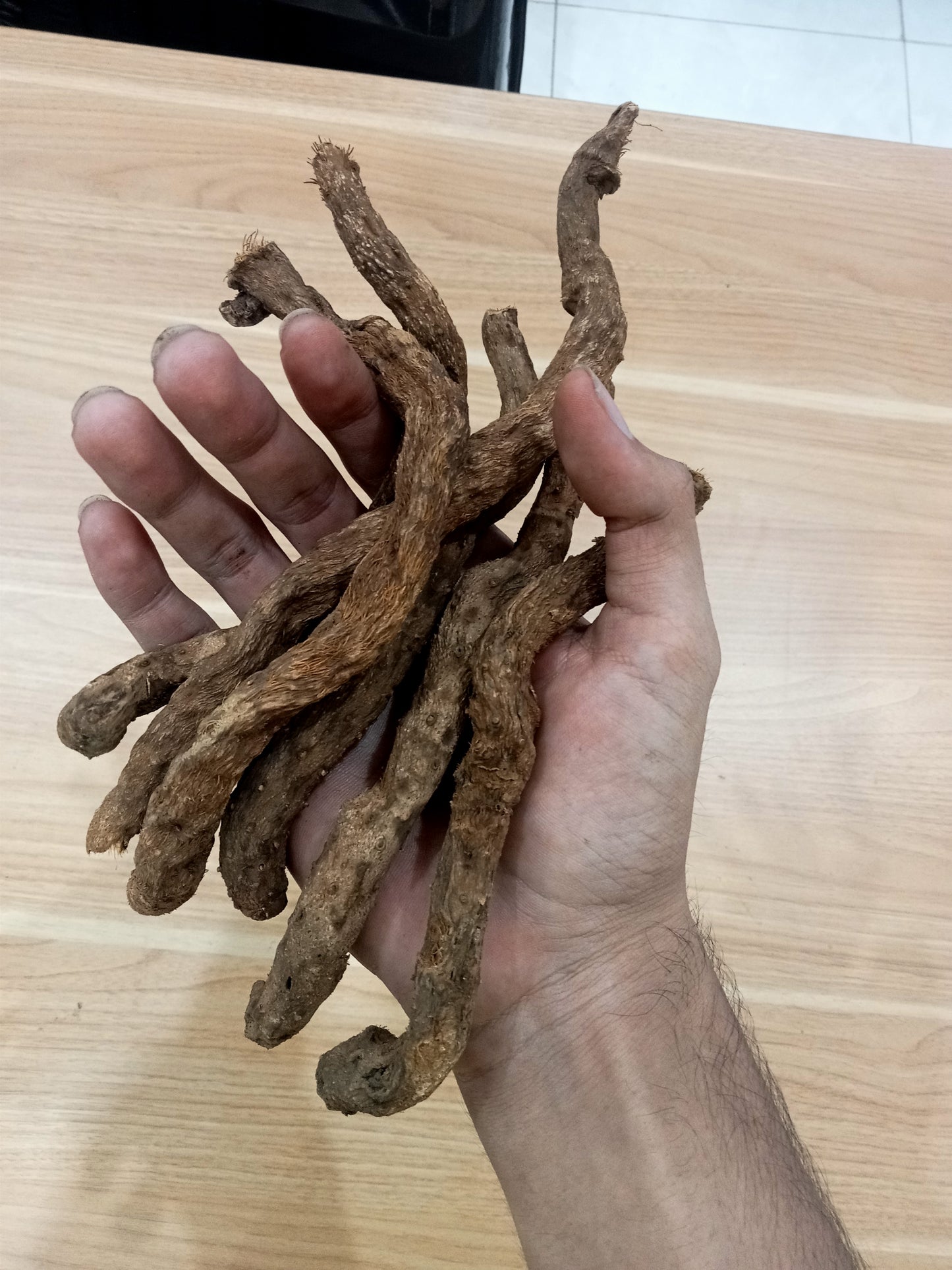 Homalomena Roots / Sugandhi Roots / Nampu Roots