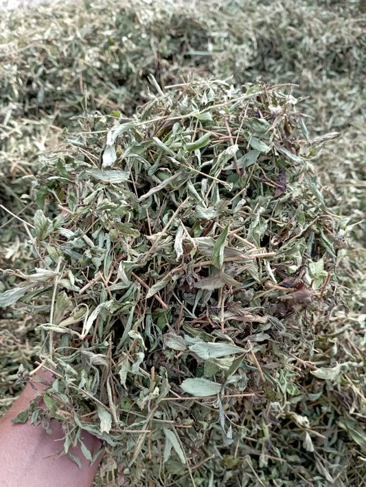 STEVIA DRIED LEAF