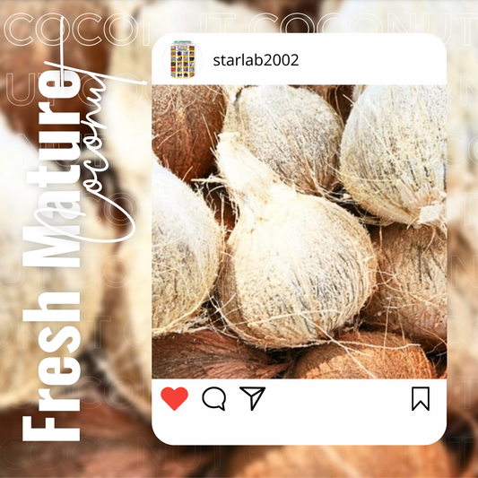 Fresh Mature Coconut