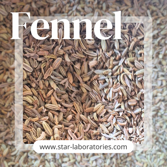 Fennel