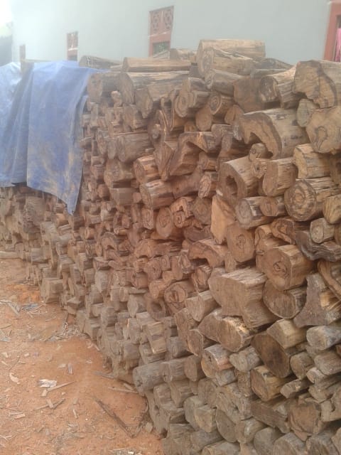 Boya Wood/Kayu Gaharu Buaya