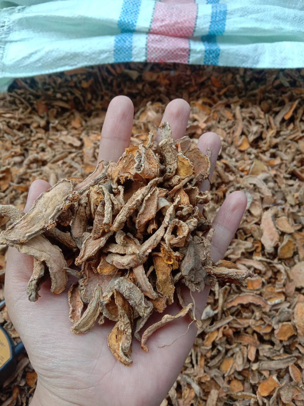 SLICE DRIED TURMERIC