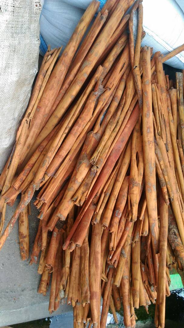 Kayumanis Asalan/Cinnamon ABC