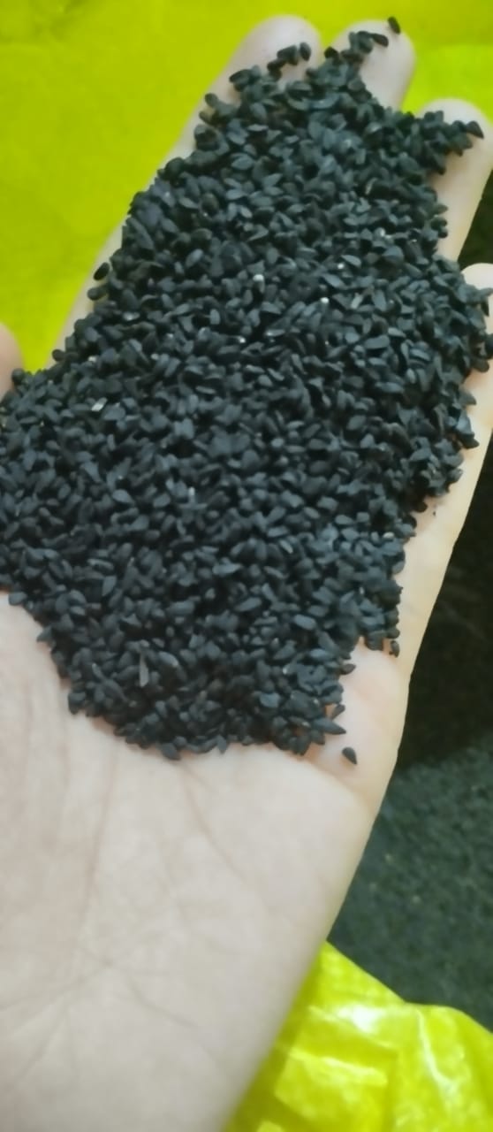 JINTEN HITAM/BLACK CUMIN