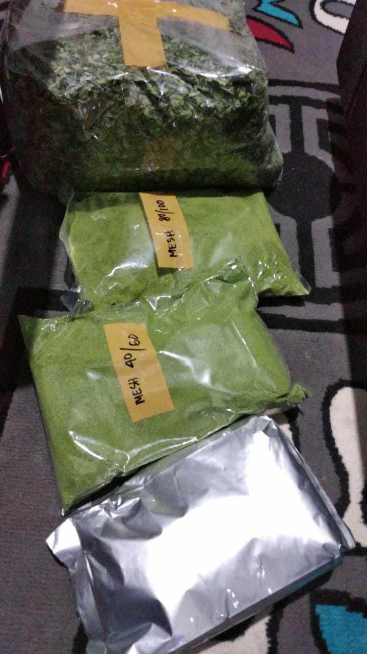 MORINGA POWDER