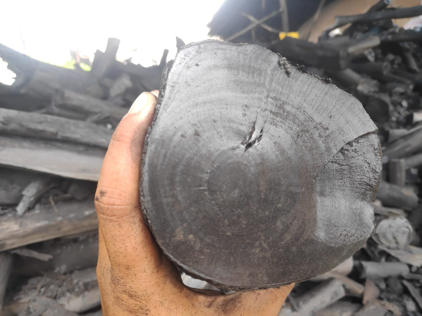 Halaban Wood Charcoal