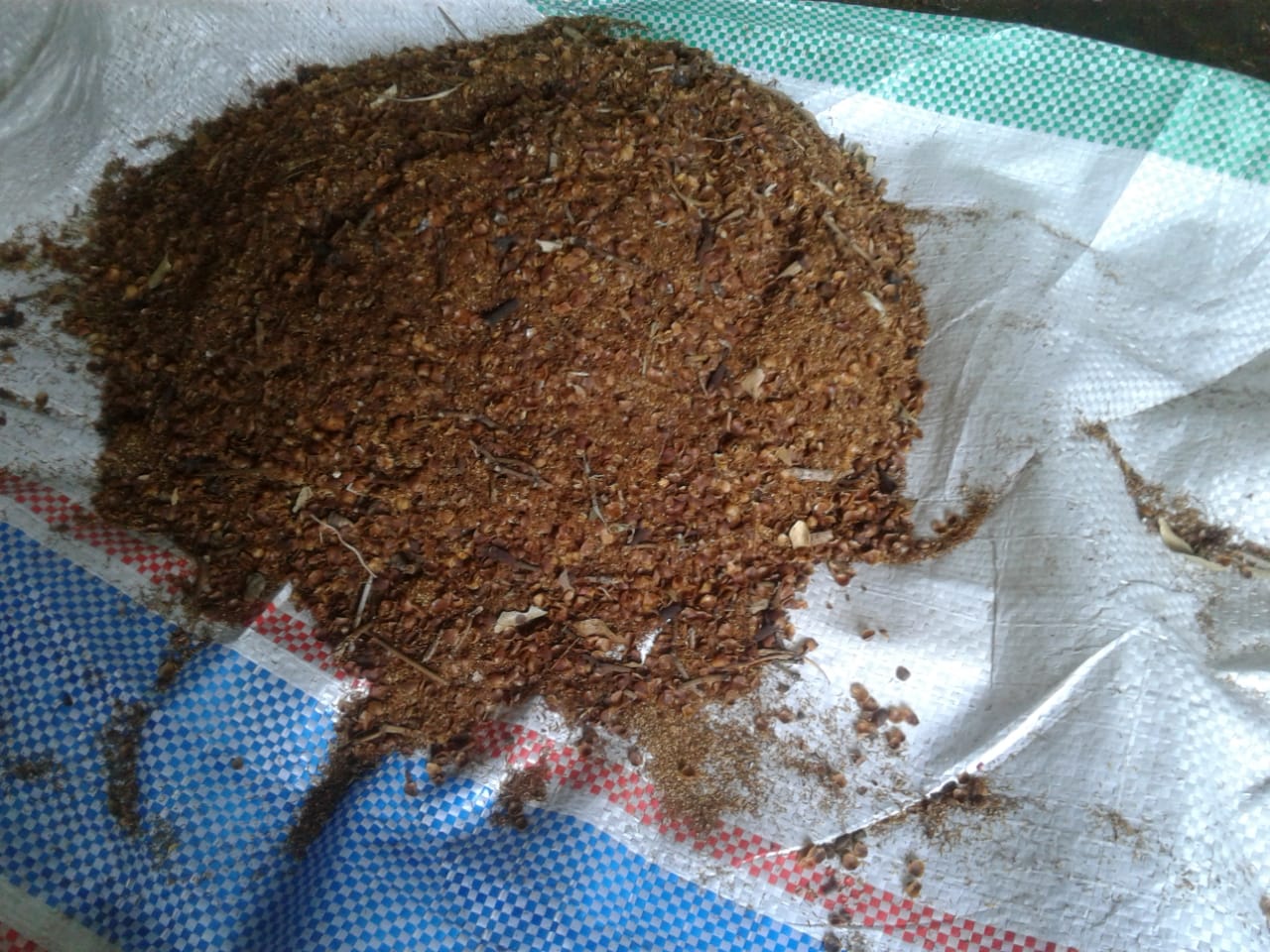 Clove Husk / Clove Broken Head