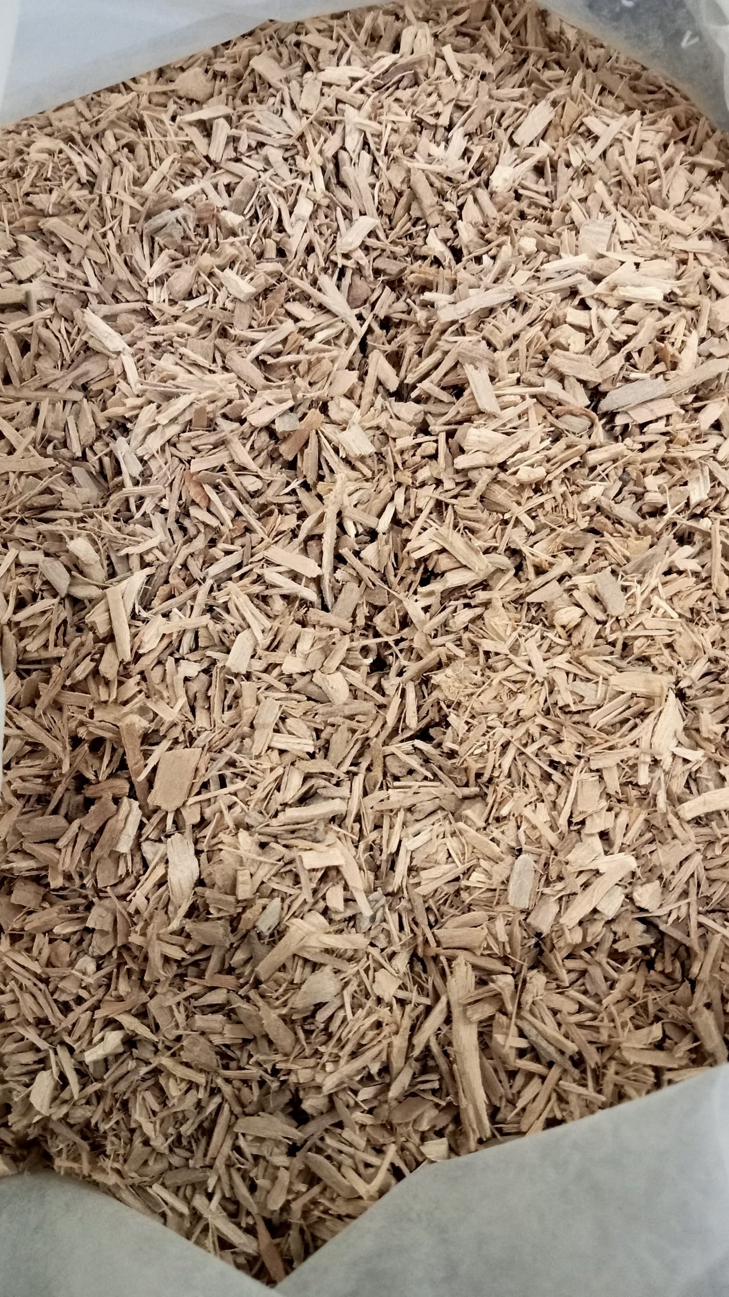 Sandalwood Small Chip