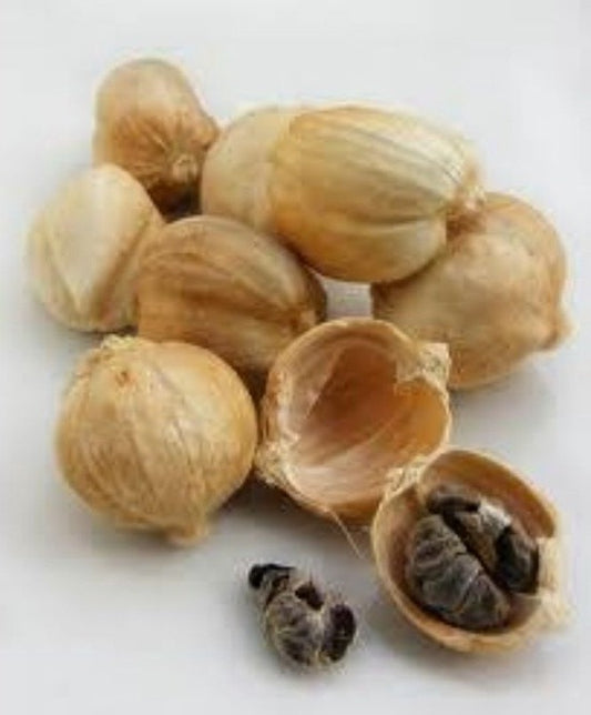 Cardamom