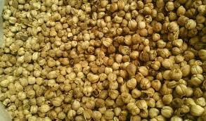 Cardamom