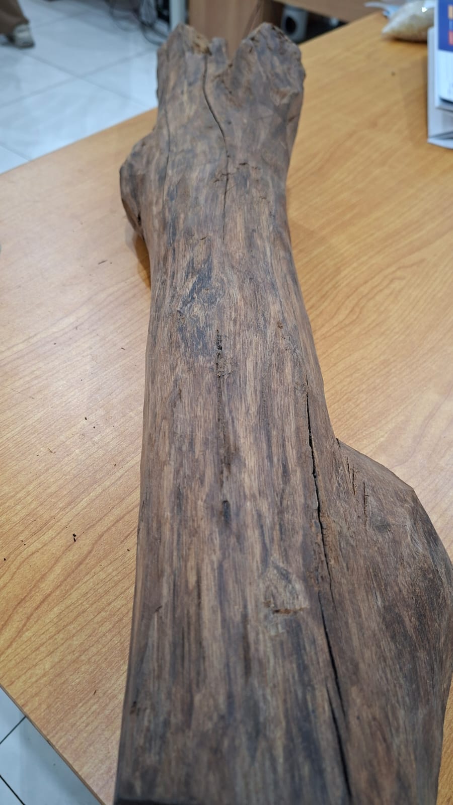 Boya wood