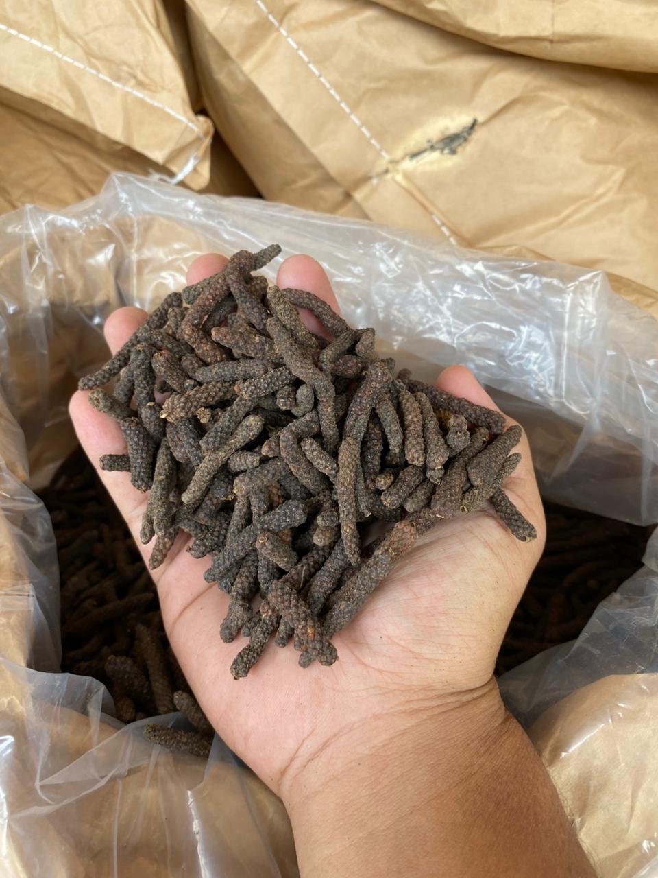 Long pepper