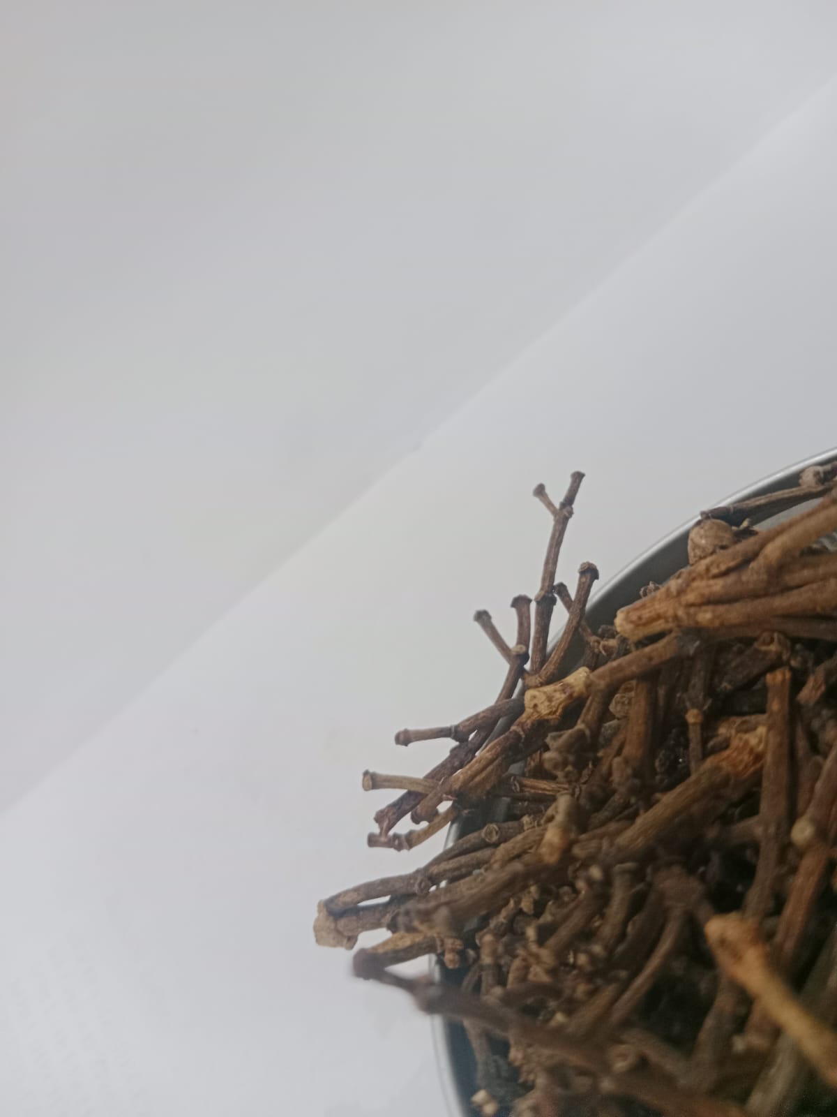 clove staem