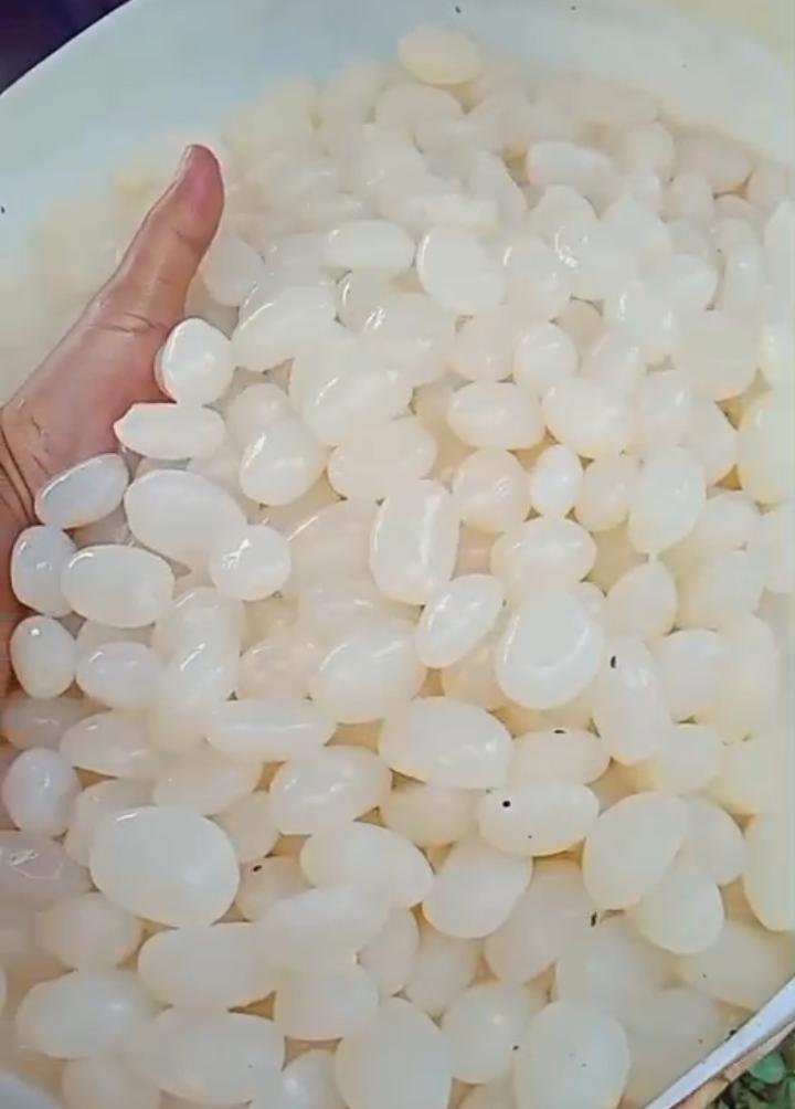 kolang kaling