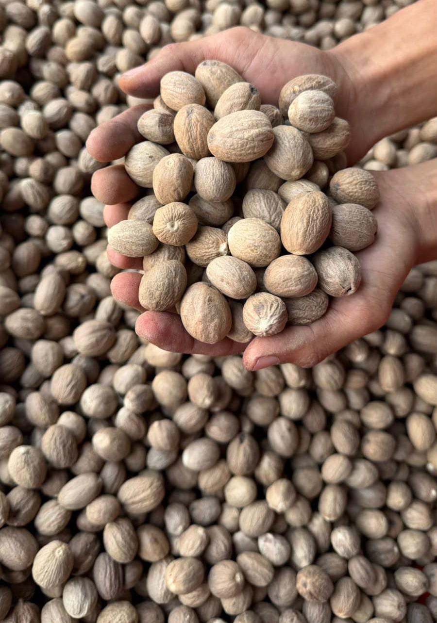 NUTMEG AB