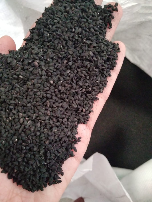 JINTEN HITAM/BLACK CUMIN