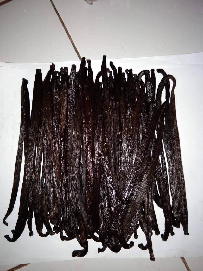 VANILLA BEAN GOURMET PLANIFOLIA/TIHITIAN