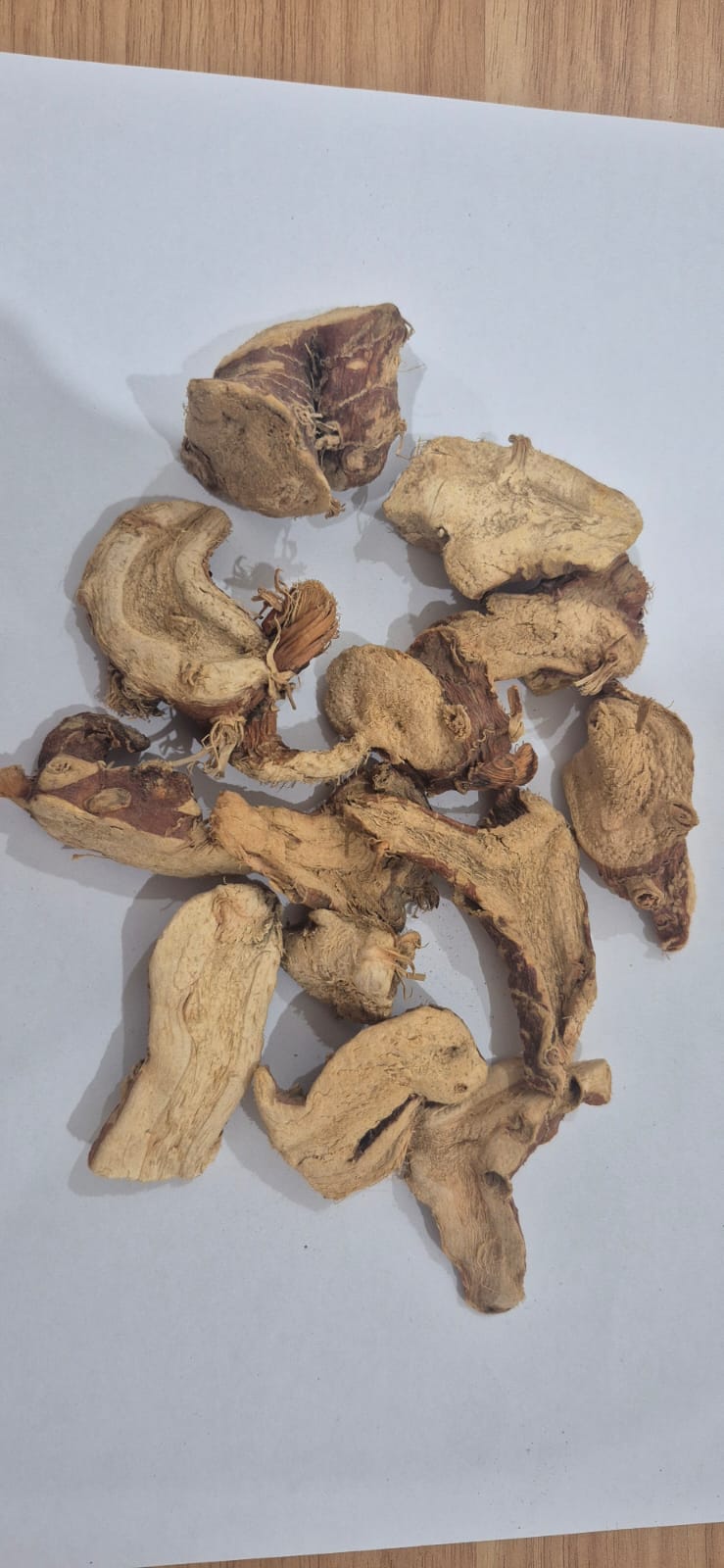 GALANGAL / LENGKUAS KERING