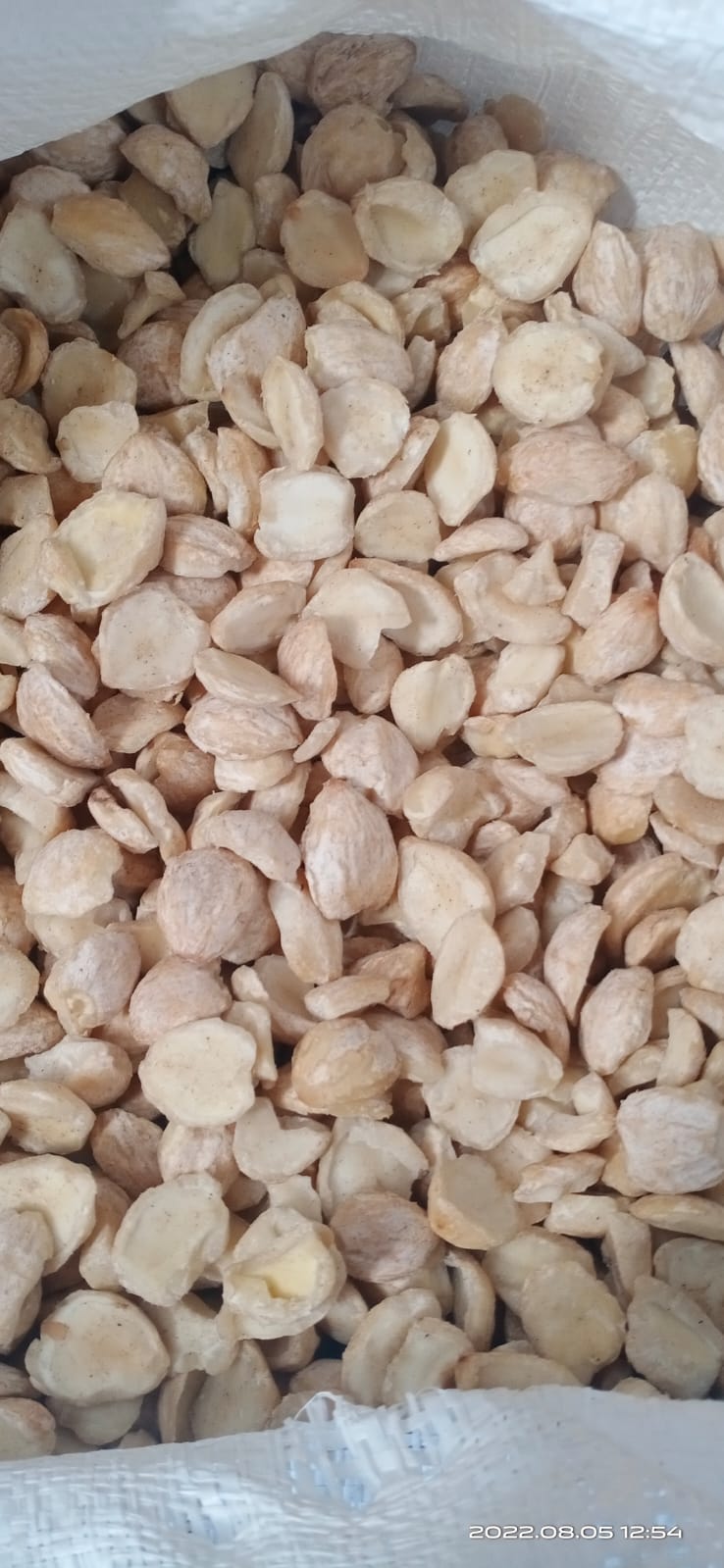 Candle Nut