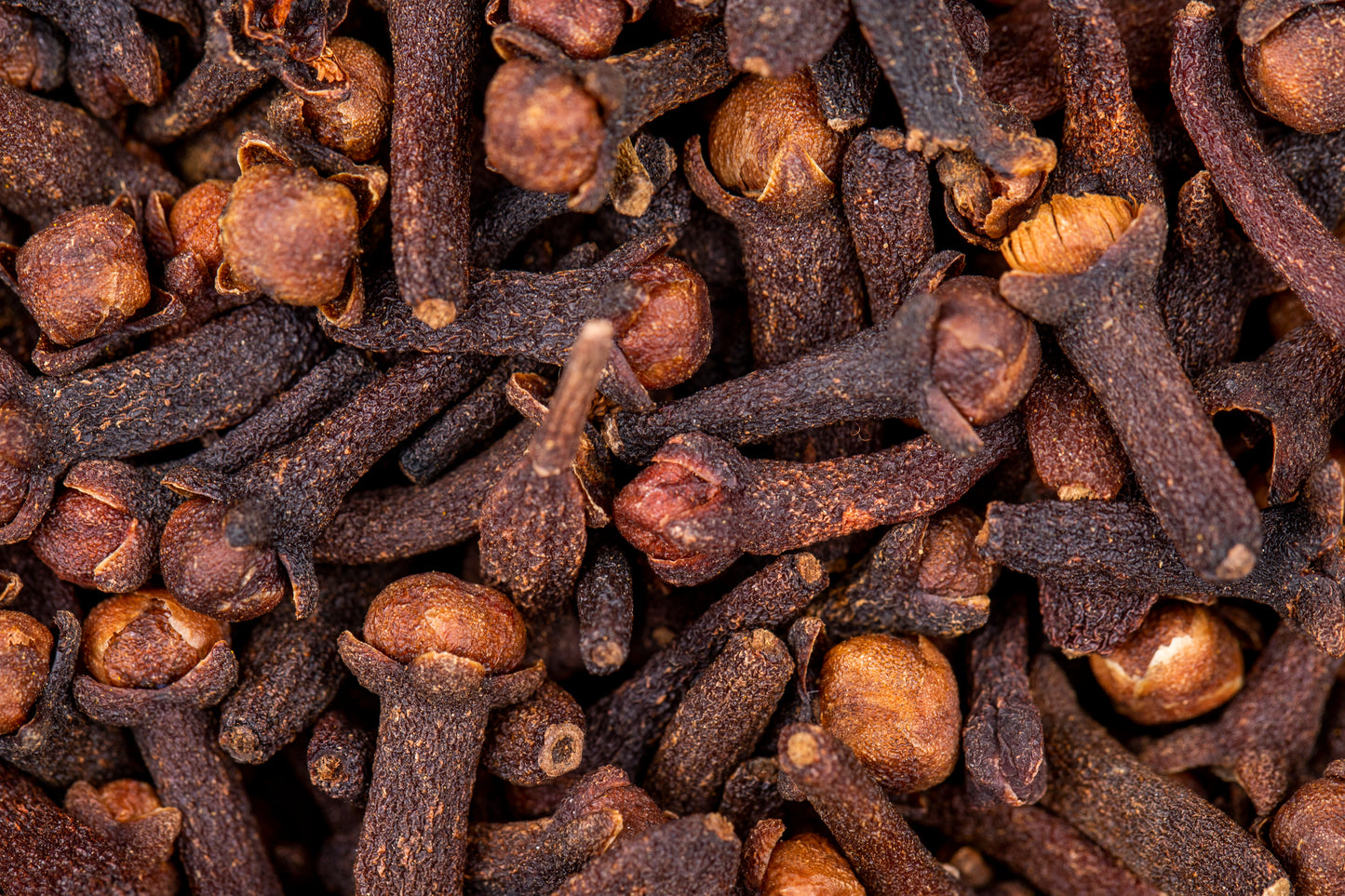 Clove Whole Premium - Cengkeh Kering Premium