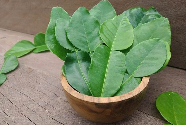 Lime leaves