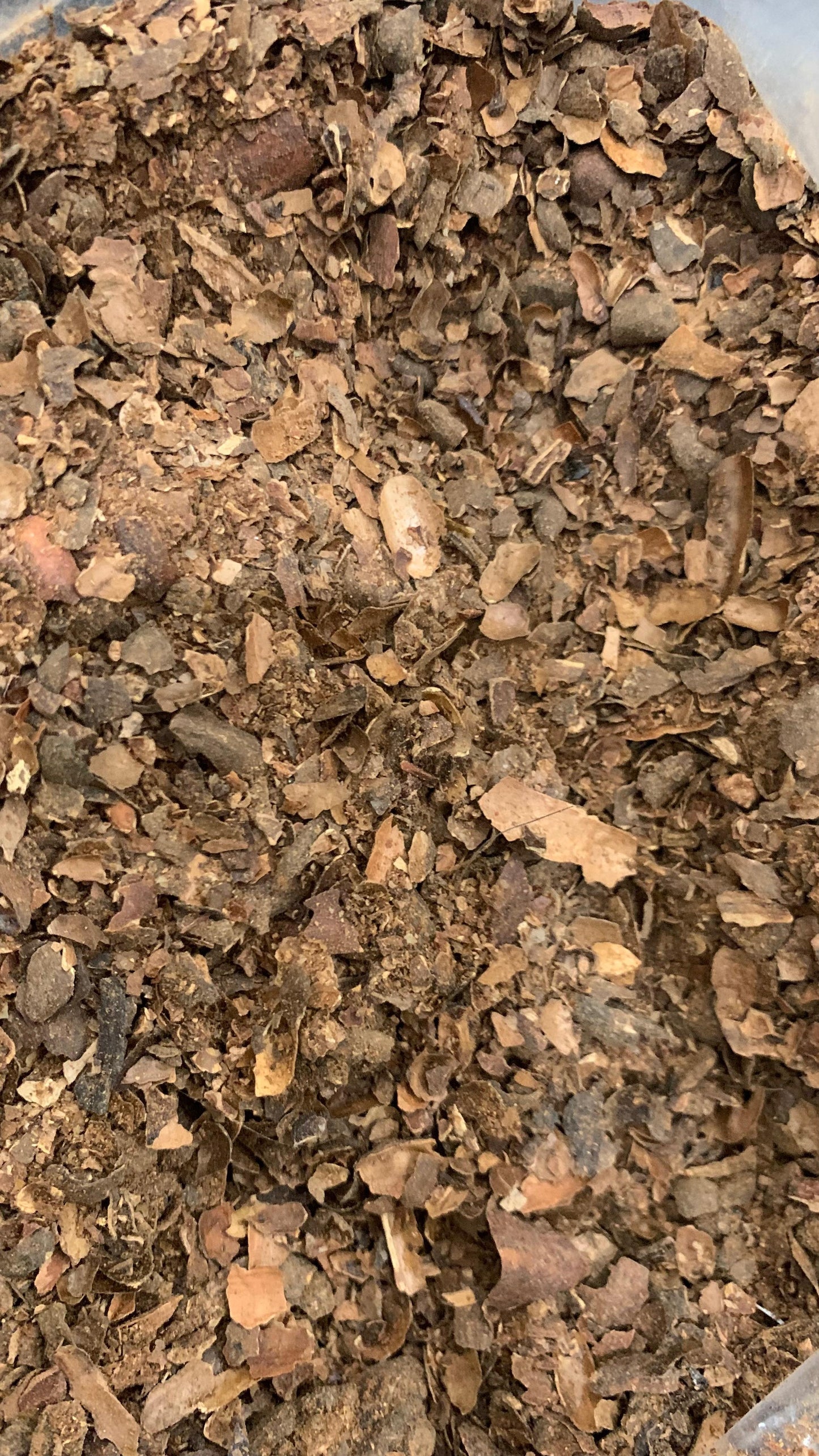 Premium Indonesian Cocoa Shell – Ready for Global Export