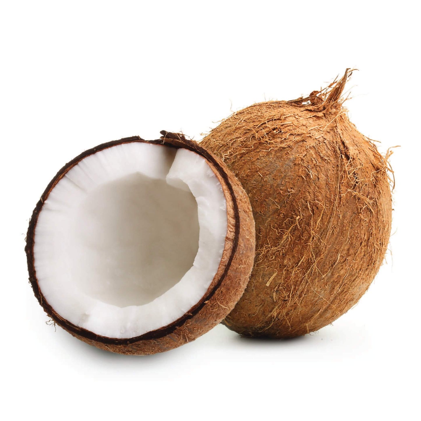 Kelapa Tua Segar Premium