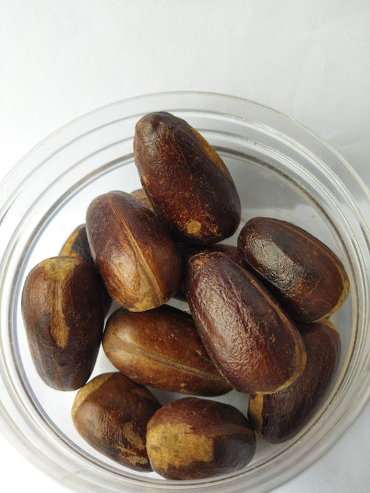 LONG NUTMEG IN SHELL