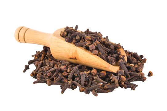 Clove stem