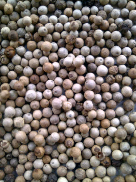 White Pepper
