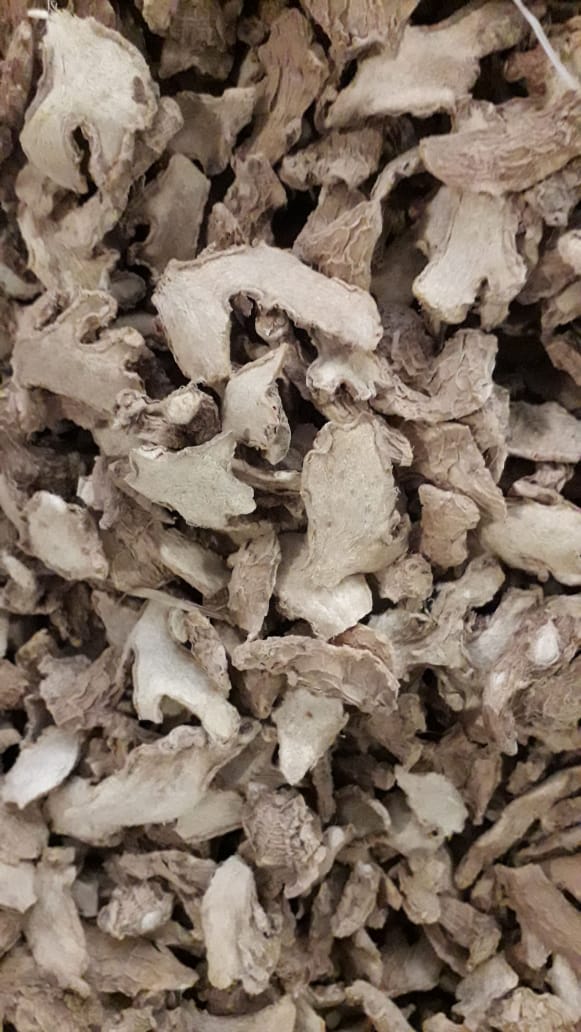 Dried Ginger / Zingiber officinale