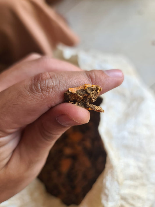 Turmeric